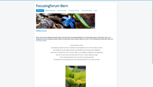 Focusingforum Bern